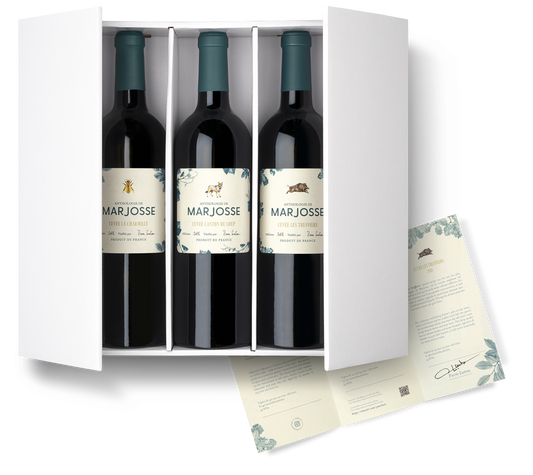 Château Marjosse: Anthologie de Marjosse - Trilogie de Merlot (3x0,75l)