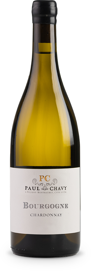 Paul Chavy: Bourgogne Chardonnay 2022 (0,75l)